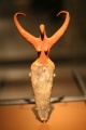 WLA brooklynmuseum Terracotta female figure.jpg